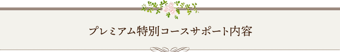 プレミアム特別コースサポート内容