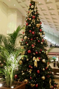 20151126_205425