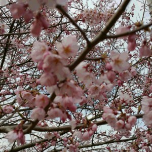 20160403_131757