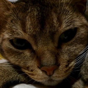 20160423_222541