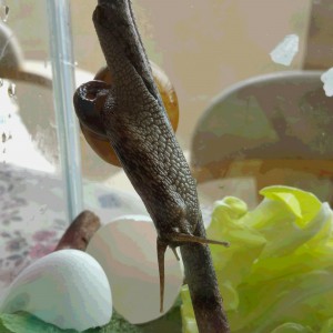 20160529_153104