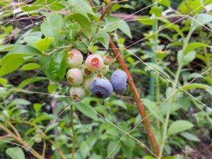20160629_114251