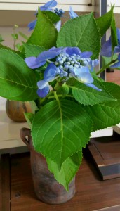 20160630_061831