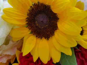 20160812_120506
