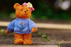 bears-974462__340