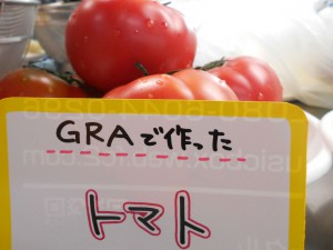 dscn1092