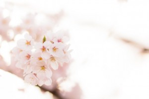 ELFAIMG_8537_TP_V1