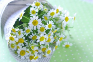 1febd9d574d5b9559ea0f3a504e231e2_t