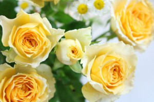 fe4fa33e42d2899bbb694f76a68d9bcd_t