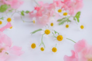 1f2c5569427f2ff3b94294a2a5c7e718_t