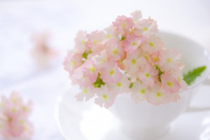 5d40a661148e6d47b03c54e1442010f0_t
