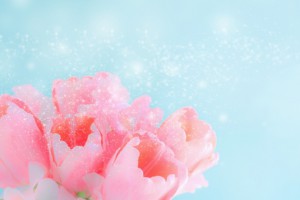 9f99de8776d9e6a644798c0e52f8f561_t