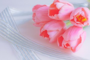 b46f6d75006bf9700d1c497ce887835d_t