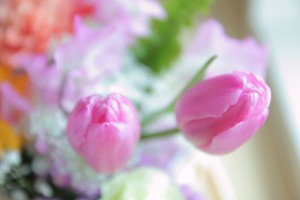 d518a622cb46d39fe8e17744534bc8ed_t
