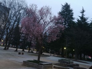 IMG00244