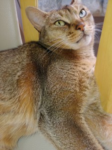 IMG00397