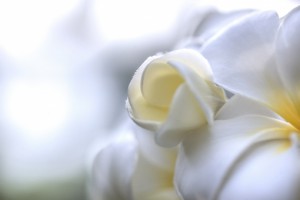 de60b111a4cda70063e71eaa5b71dd6e_t