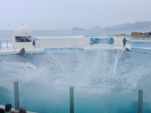 IMG01117