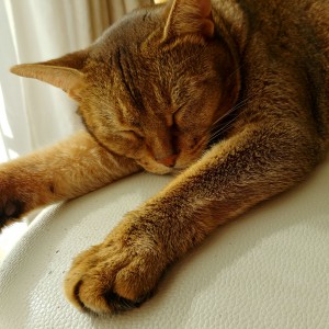 IMG00136_HDR