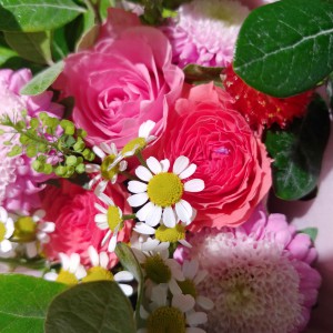 IMG00577_HDR