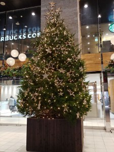 IMG00766_HDR