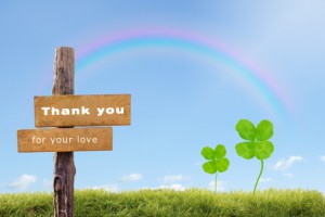 9af5b9e62c5f14a3663369571fae49e4_t