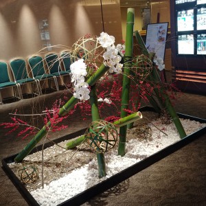 IMG01543_HDR
