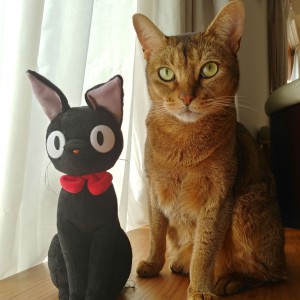 IMG01710_HDR