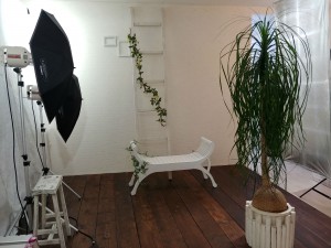 IMG01878_HDR
