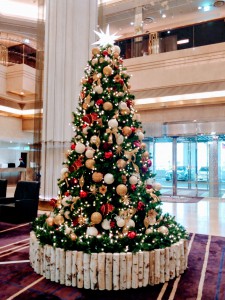 IMG04196_HDR_2
