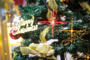 christmas0I9A4358