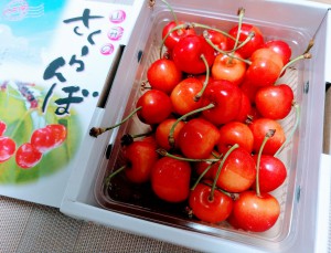 IMG06008~2(1)