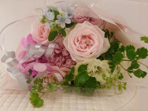 IMG06555~2
