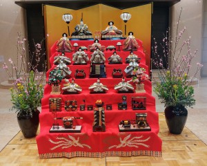 IMG08049~2(1)(1)