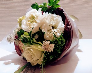 IMG11509~2(1)