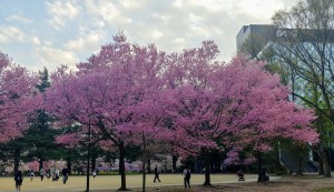 IMG11520_HDR~2(1)