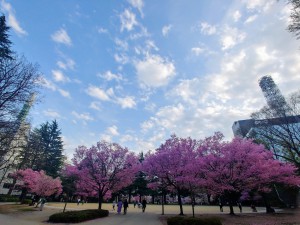 IMG11521_HDR~2(1)