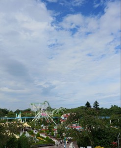 IMG12517(1)