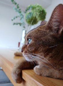 IMG12637_HDR(1)