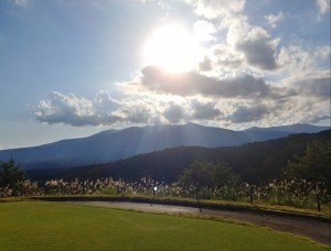 IMG12728_HDR(1)