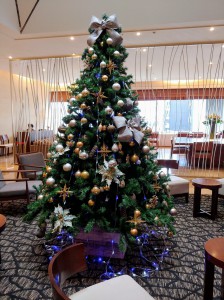 IMG13197_HDR~2(1)
