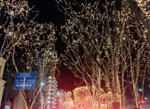 IMG13276~2(1)