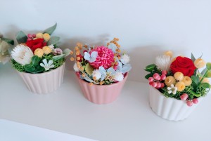 IMG13948~2(1)