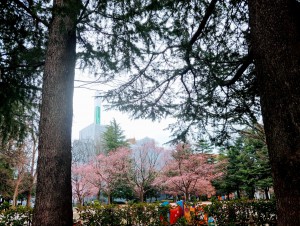 IMG14087_HDR~2(1)