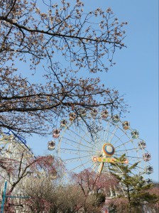 IMG14170(1)