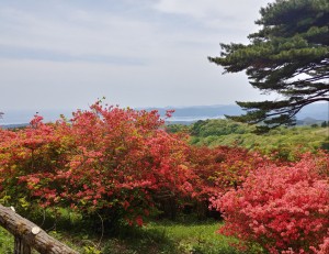 IMG00080_HDR(1)