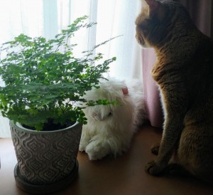 IMG00642_HDR~3(1)