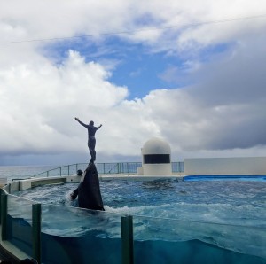 IMG00834_HDR(1)~2