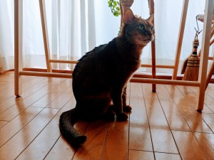 IMG00938_HDR~3