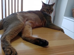 IMG00977_HDR(1)